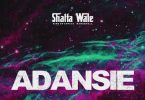 Download Shatta Wale Adansi3 Testimony Mp3 Download